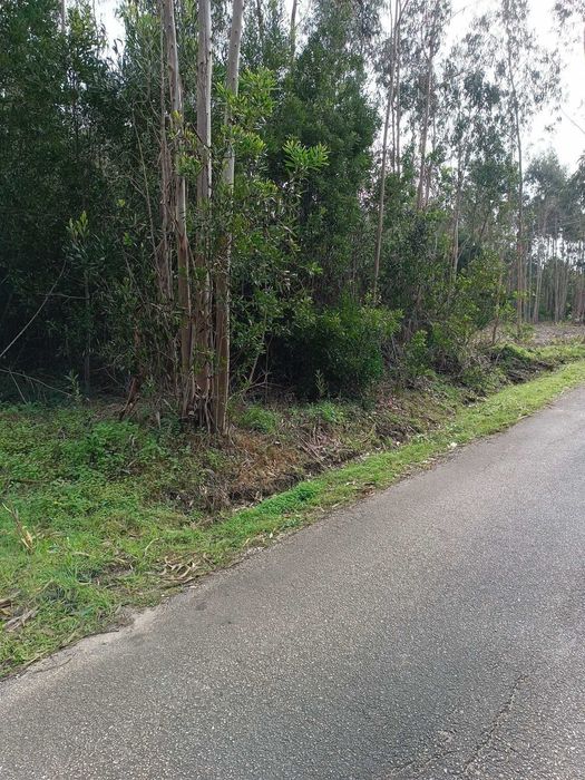 Terreno em Quiaios - Figueira da Foz