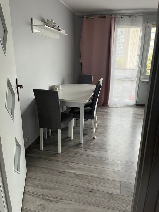 Wynajmne mieszkanie 2 pokoje 53m2