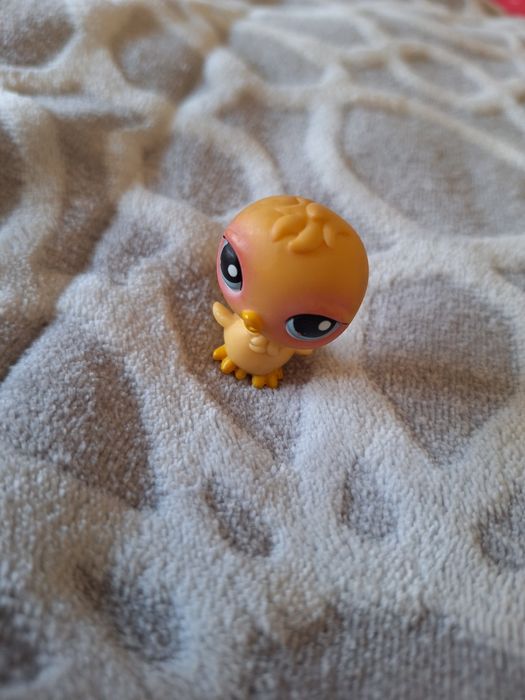 Littlest Pet Shop Pinto
