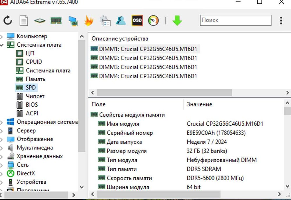 DDR5 2x32Gb 5600 Mhz Crucial Pro CT2K32G56C46U5 оперативня память 64 Г