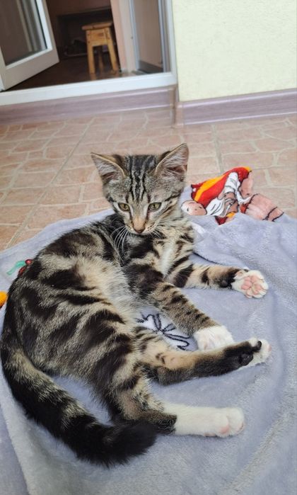 Красивий нарядний малюк 3, 5 міс