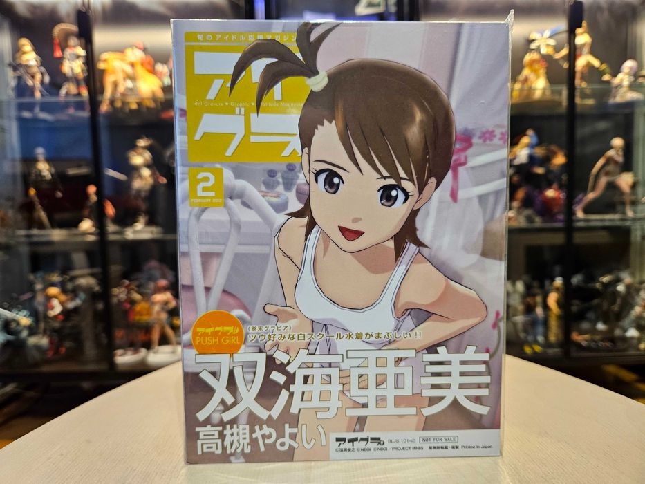 PS3 The Idolmaster: Gravure For You Vol. 5