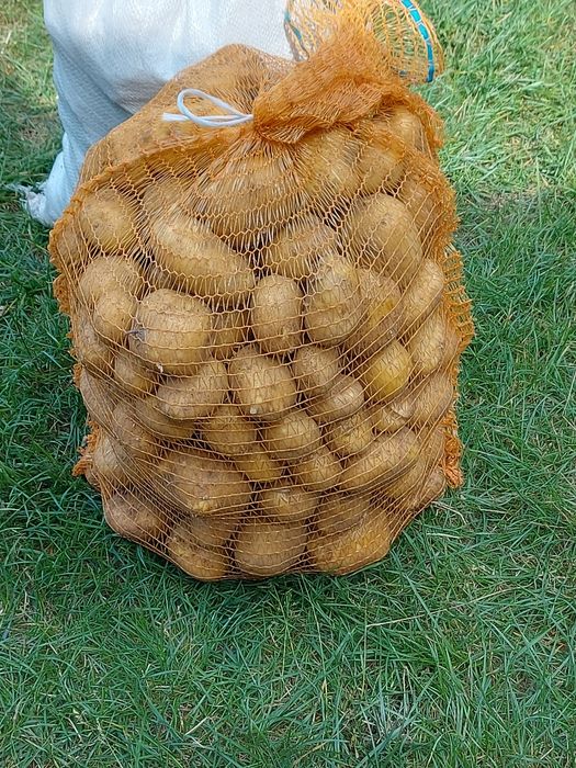 Sprzedam ziemniaki