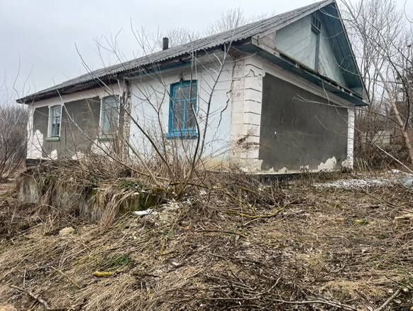 Будинок в селі Ридомиль