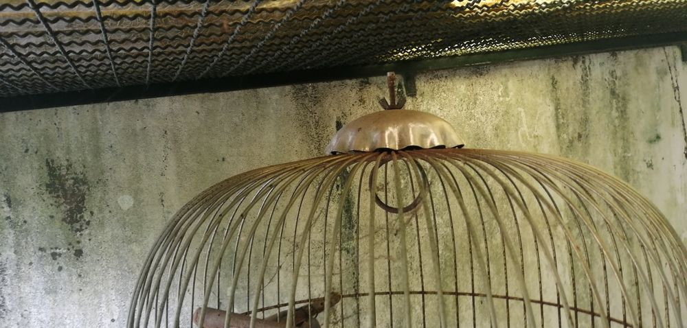 Gaiola para pássaros