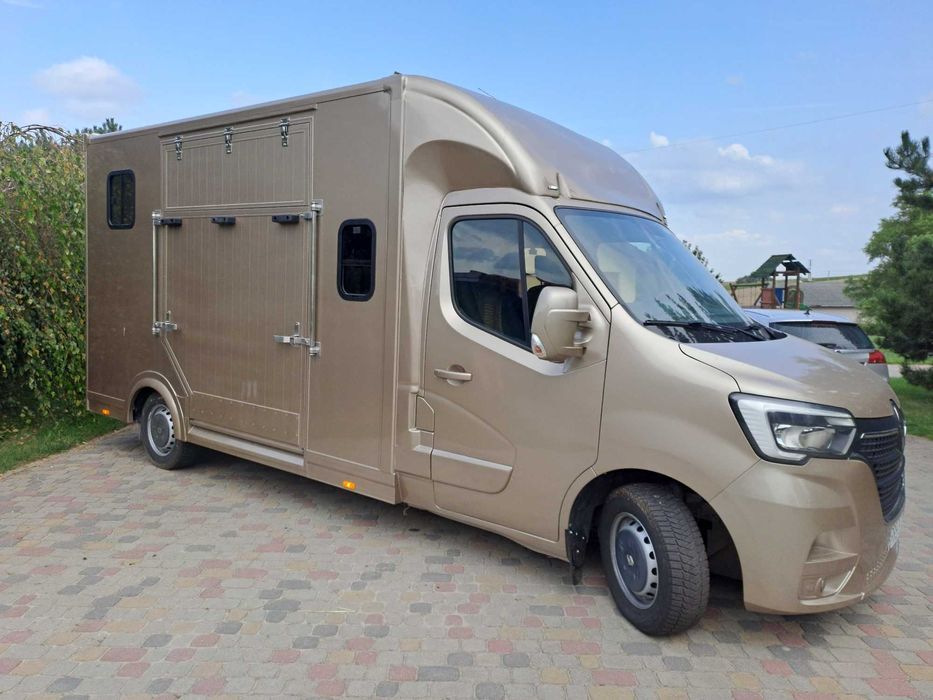 Renault Master - koniowóz - automat - nowa zabudowa - gwarancja
