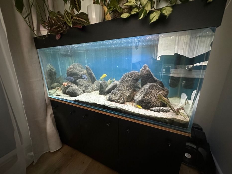 Akwarium 360L 120x60x50