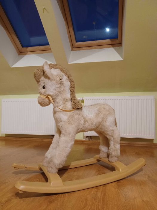 Konik na biegunach