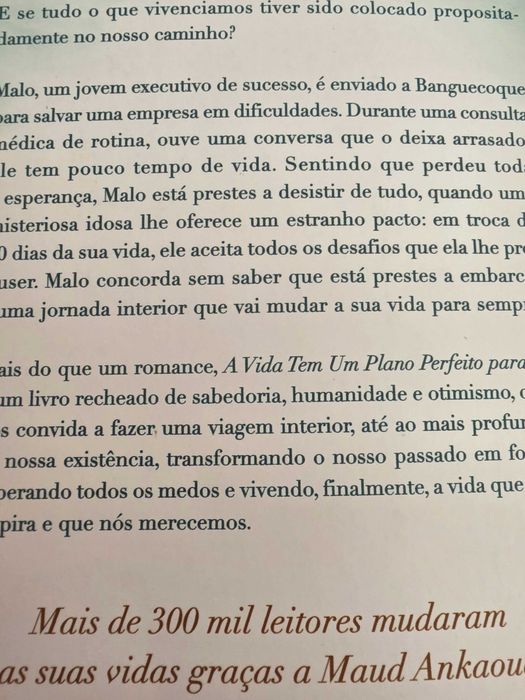 Livro de Maud Ankaoua A vida tem um Plano Perfeito para Ti