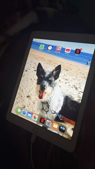 Ipad Air 2 (wi-fi + Cellular)