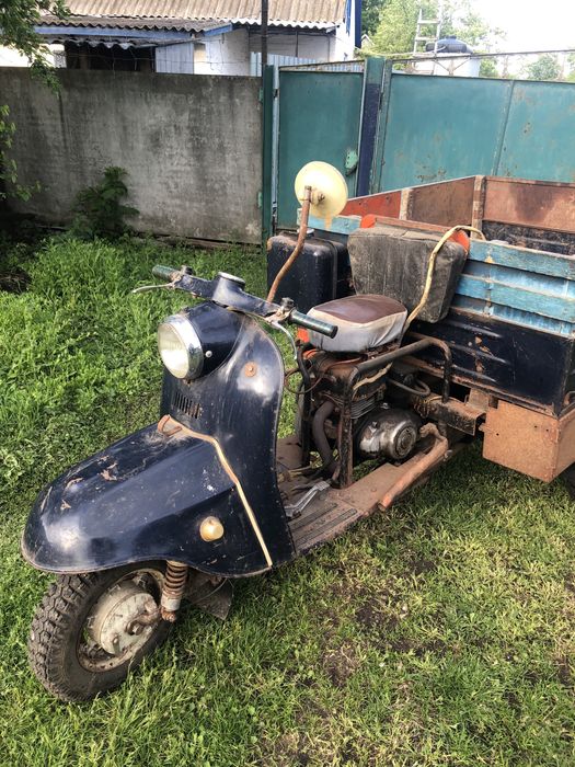 Продається муравей