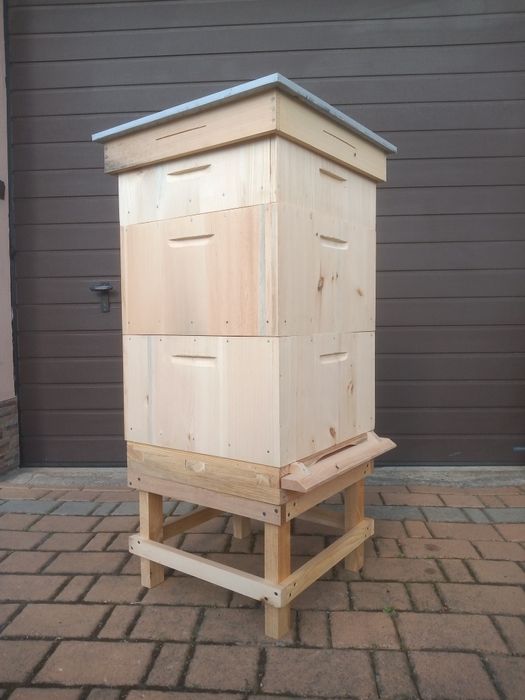 Ul, ule wielkopolskie 10 ramkowe