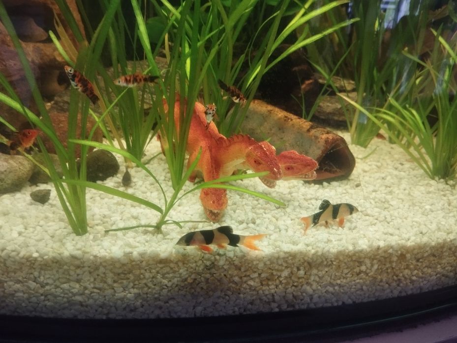 Akwarium 375 l bez wyposażenia