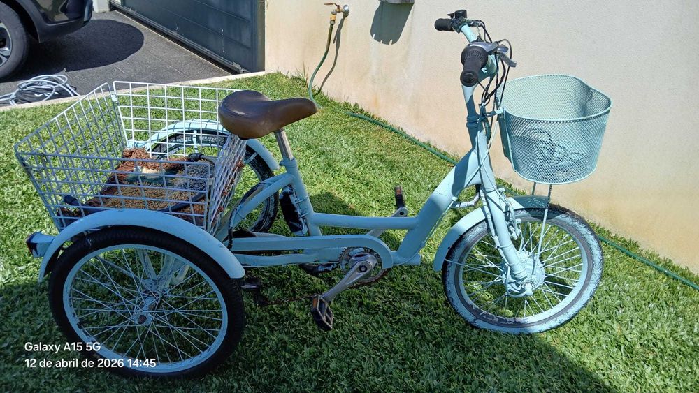 Bicicleta de 3 rodas elétrica/Triciclo elétrico