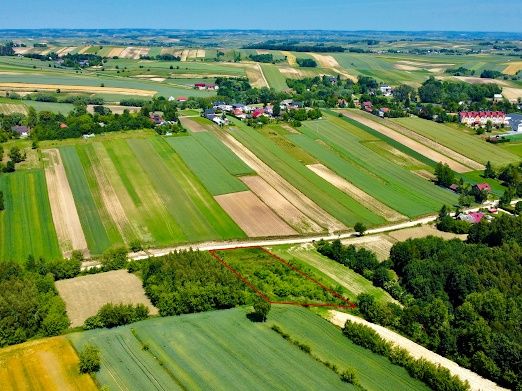 Pałecznica, 4 działki, 95 ar. WZ. Prywatnie.