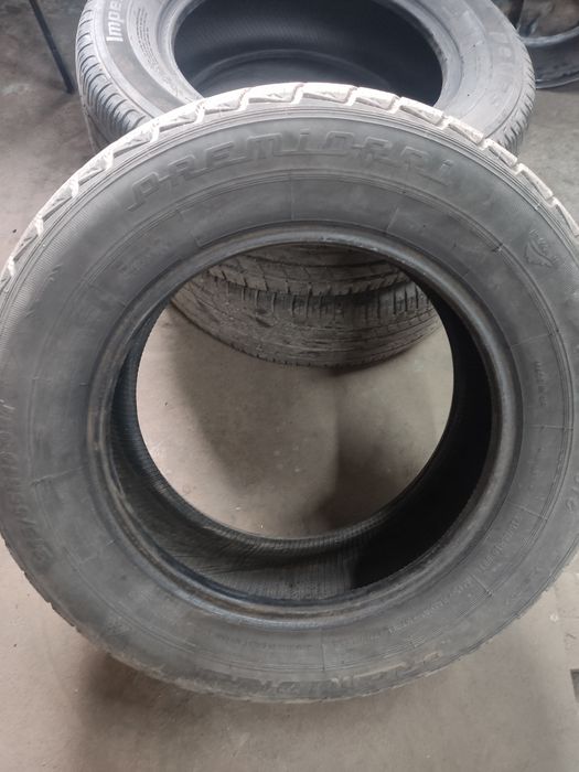 Резина на trafic зима і літо