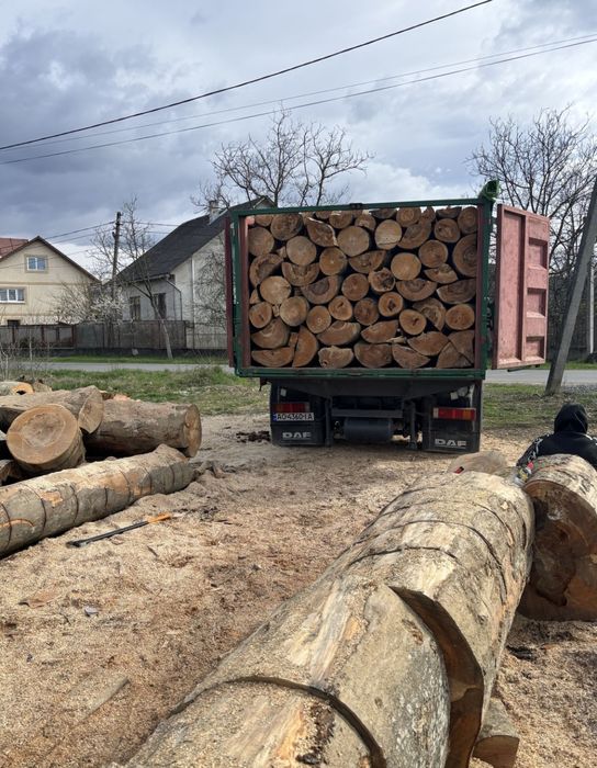 Дрова з доставкою: мінімальна ціна, швидка доставка, плотно складені  10,15,20,28м3