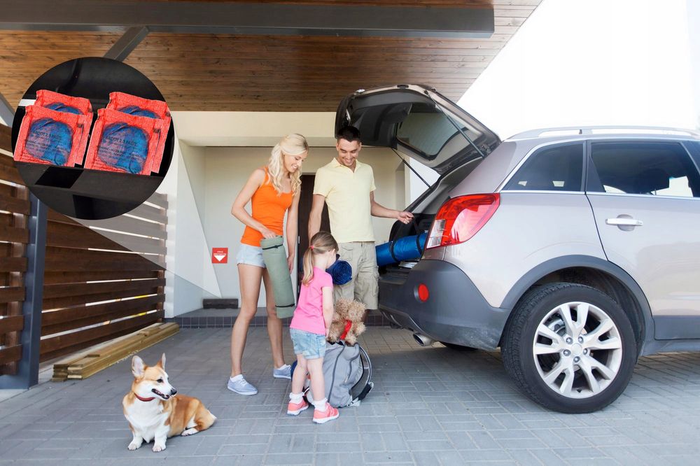 Trutka na szczury i myszy No Pest® pasta brodifakum 25kg. Hurt/detal