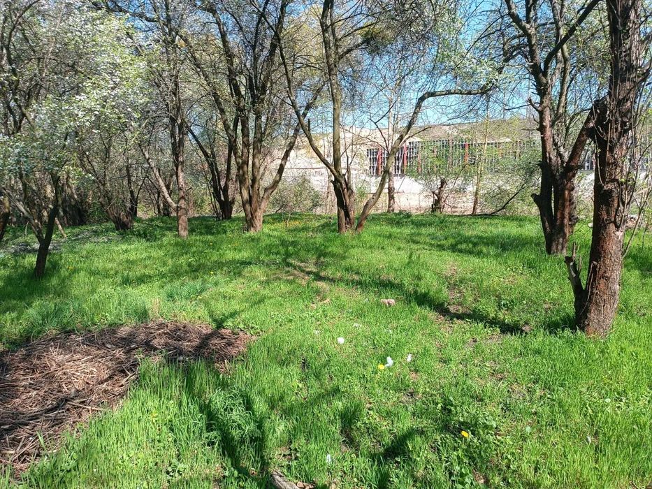 Воскресенские сады 11 Сот. Выход к Озеру.