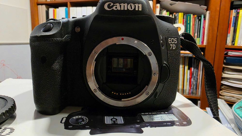 Canon EOS 7D- CORPO (26143 disparos) com caixa + Bateria + Carregador+ cartão + alça (tudo original) ótimo estado