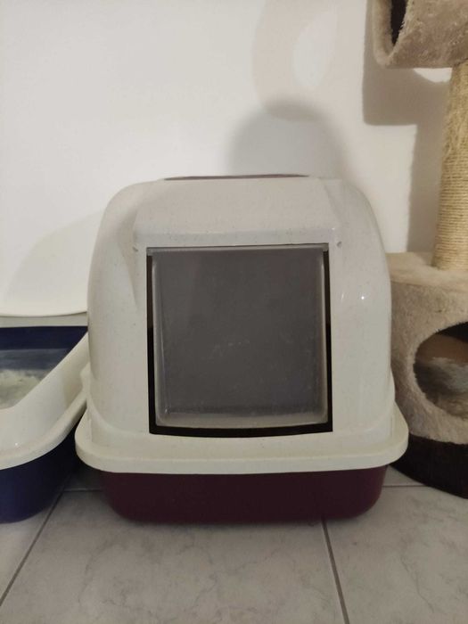 Arranhador, caixa de areia e caixa para gatos