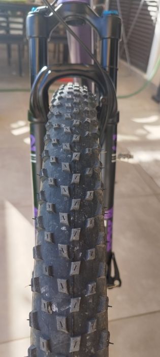 BH lynx Race carbono