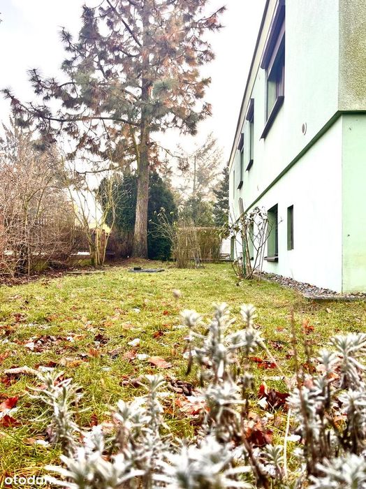 Dom w otulinie Wielkopolskiego Parku Narodowego