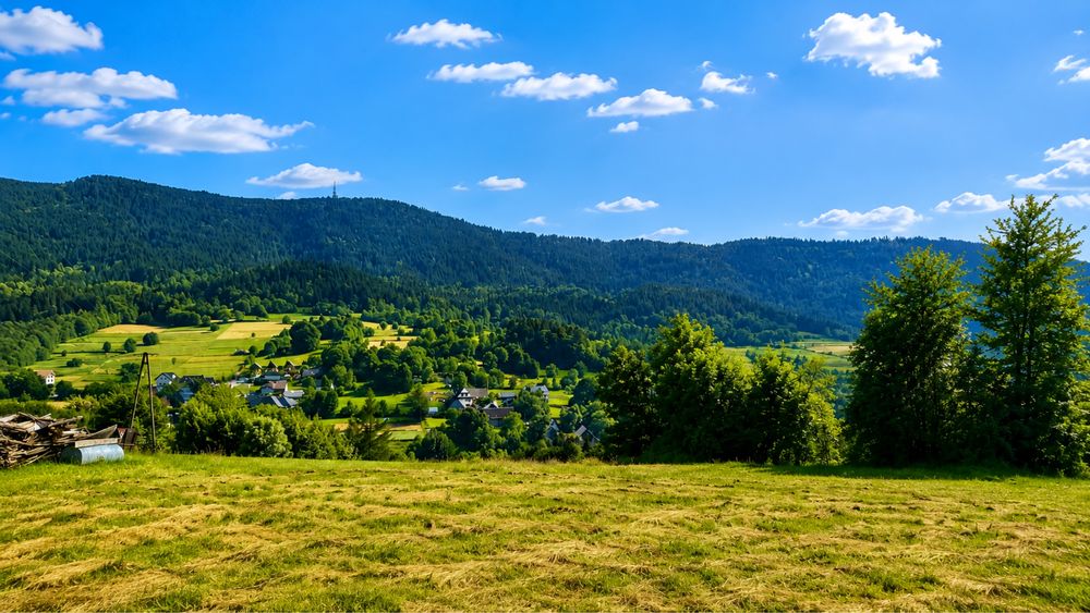 Kompleks działek 2,6 ha – południowy stok, panorama Tatr – Tenczyn