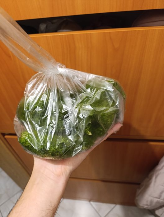 Wgłębka wodna do akwarium