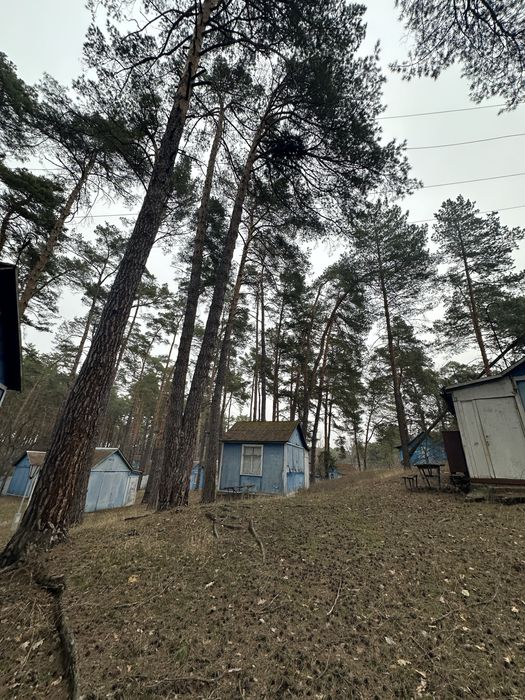 Продаж Бази Відпочинку .  Вишгород село Новосілки ТП Світло 160 кіловат . ГАЗ , Річка водойма 5 хв