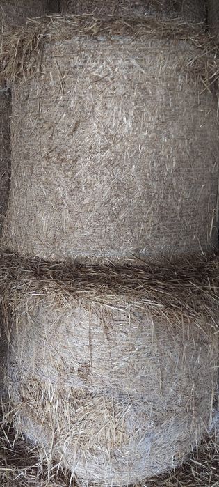 Baloty siana słomy i sianokiszonki