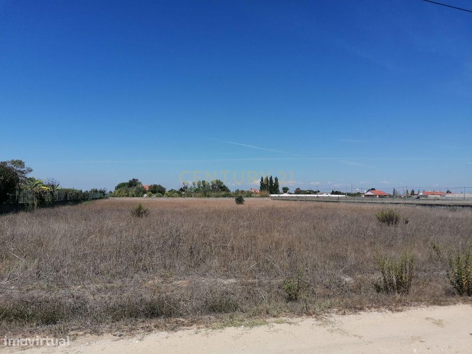 Terreno Rústico com 5000 m2 e Piso Regular - Herdade do Bilrete, Benav — Salvaterra De Magos E Foros De Salvaterra, Santarém