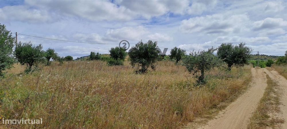 Terreno Rústico para Venda na Vidigueira com 10 000 m²