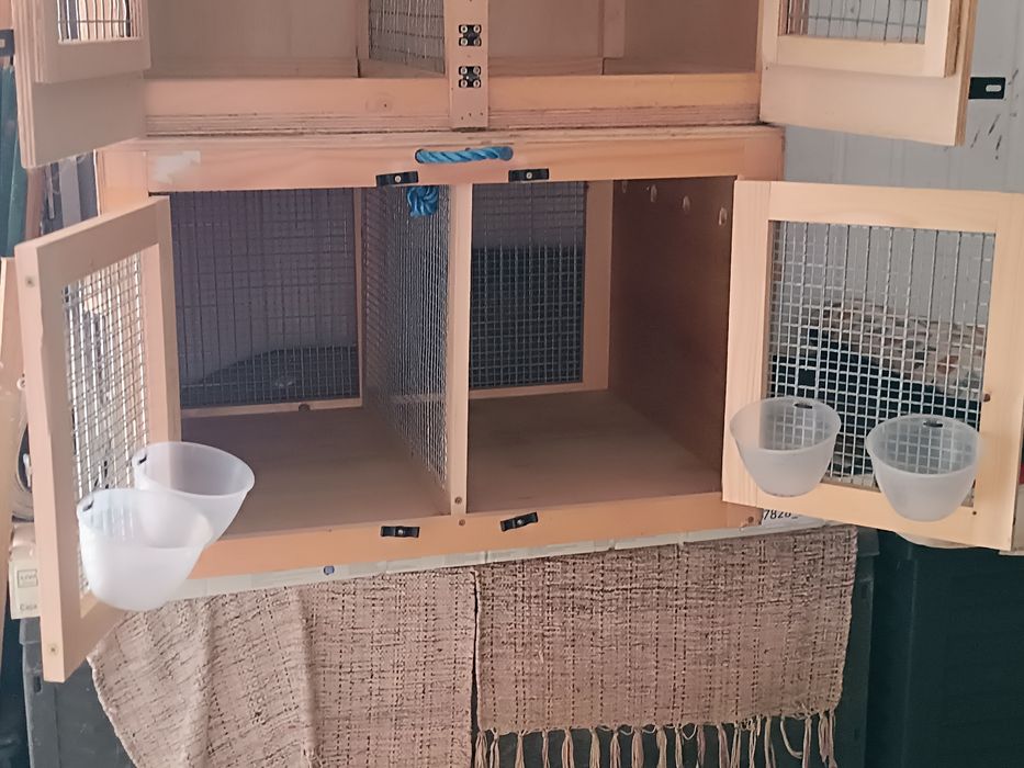Transportadoras para cães pequenos, gatos ou outros animais pequenos.