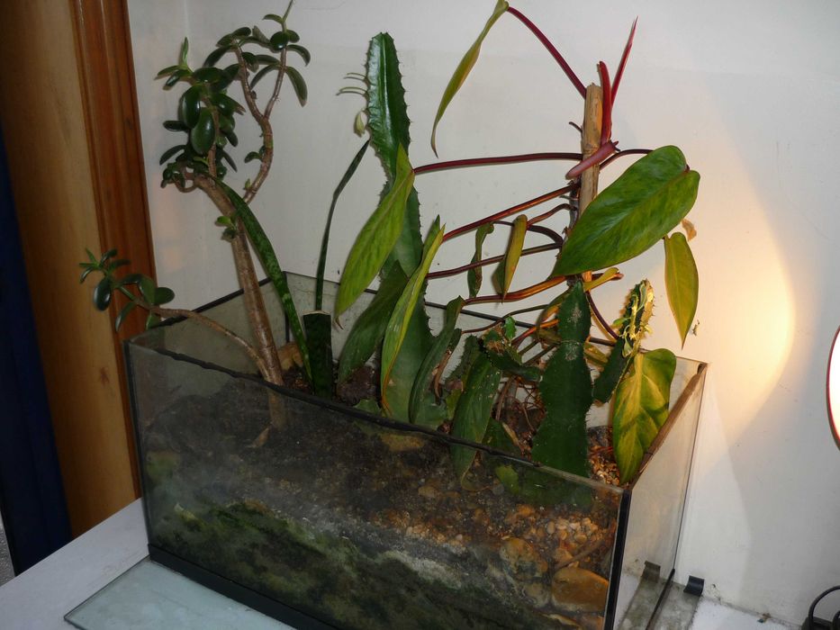 Aquário ou Floreira