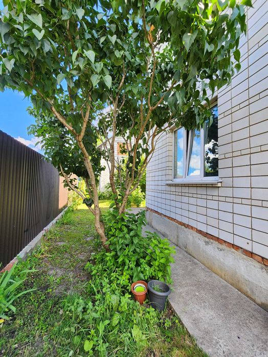 Вітаю. Продам будинок, газ, гараж, 12 соток, Боярка_Тарасівка.