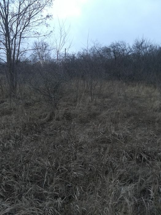 Продам земельный участок в Солоницевском ОТГ (п.Ольшаны)