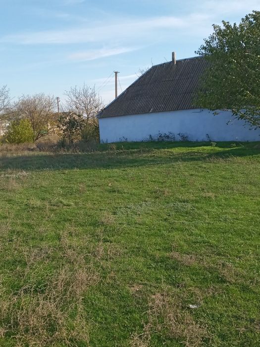 Дом в Петрово-Солонихе, возможен торг