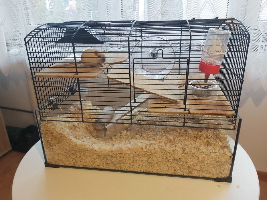 Myszoskoczek z klatką