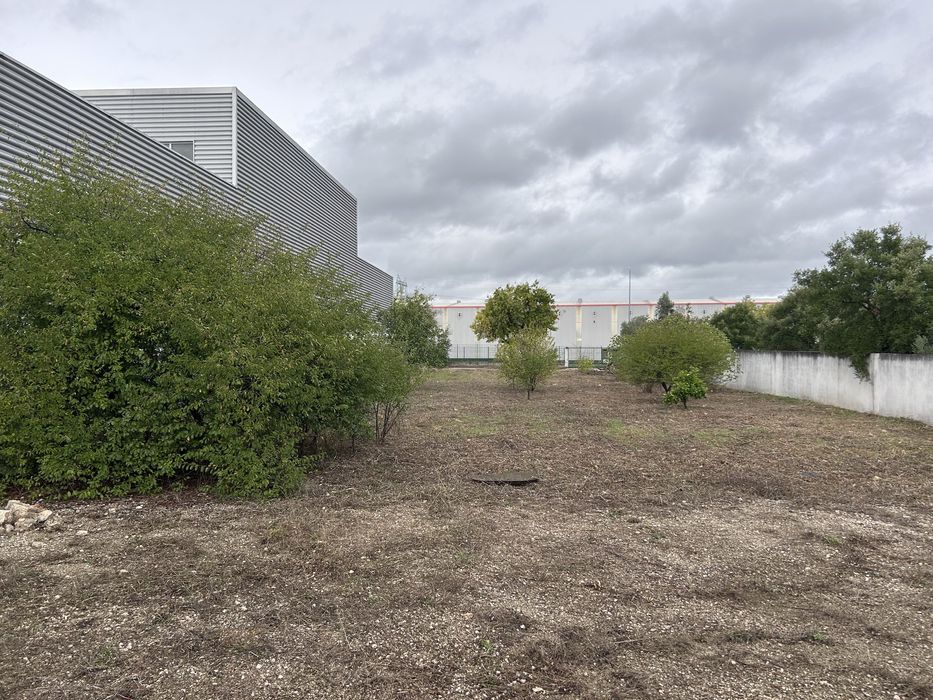 Manutenção de espaços verdes, jardinagem e limpeza de terrenos