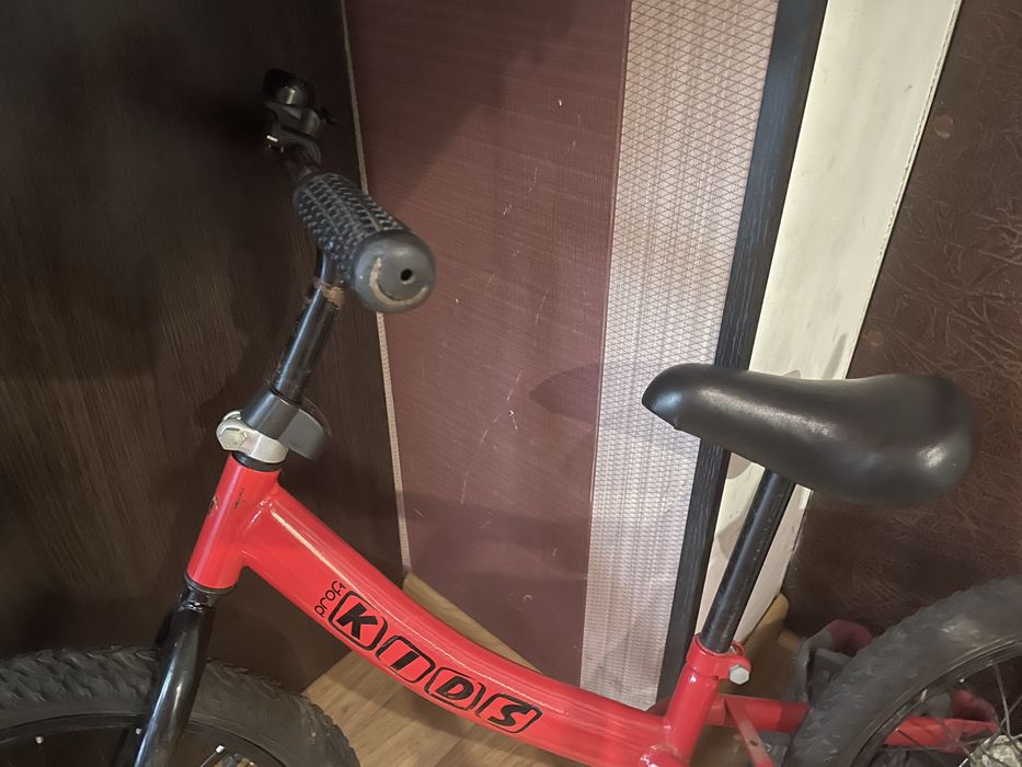 Біговел/ вілобіг