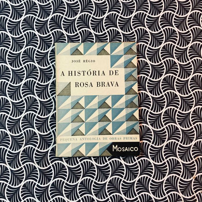 The Story of Rosa Brava - José Régio