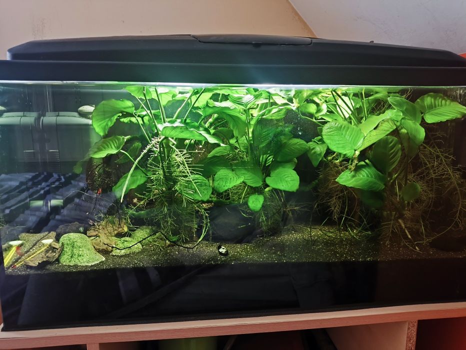 Akwarium 112 Litrów