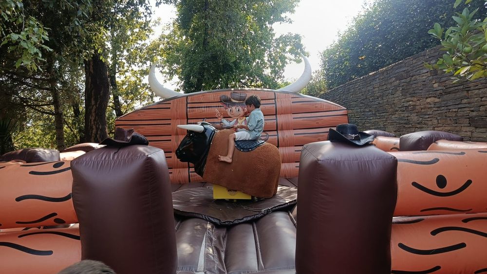 Aluguer Touro Mecânico