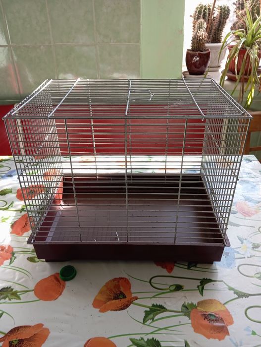 Клітка для птахів