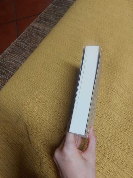 Livro " A anatomia do Segredo" de Leslie Silbert