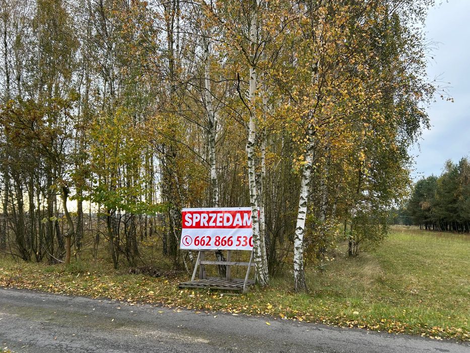 Zdjęcie 2