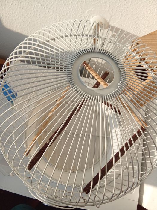 Vendo gaiola 15 euros