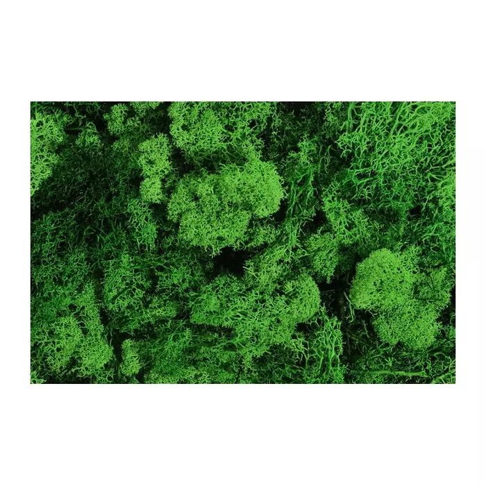 Ozdoba Dekoracyjna Mech Chrobotek 125G Zielony Natur Pbh. Nowy Produkt