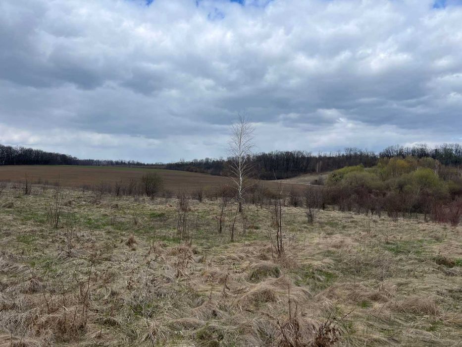 (5) Продам земельну ділянку 12 с в смт. Вороновиця 8116